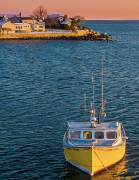 Dental ONE Thing System Logo